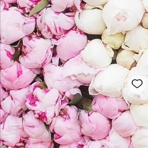 Meet your Posher, Alicia